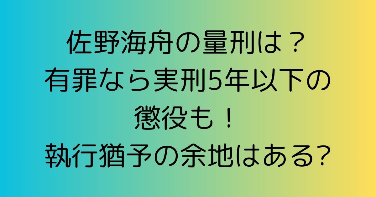 佐野海舟の量刑は？有罪なら実刑5年以下の懲役も！執行猶予の余地はある?