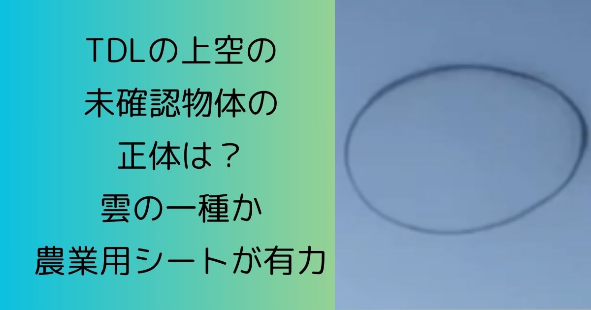 TDLの上空の未確認物体の正体は？雲の一種か農業用シートが有力