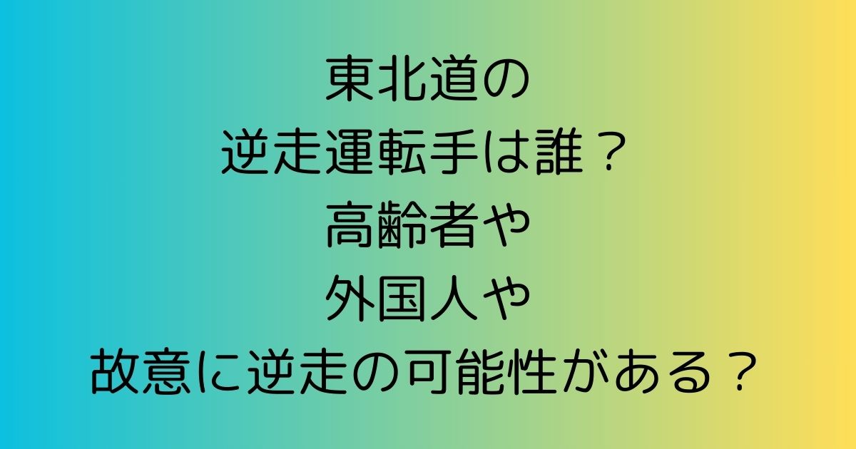 東北道の逆走運転手は誰？高齢者や外国人や故意に逆走の可能性がある？