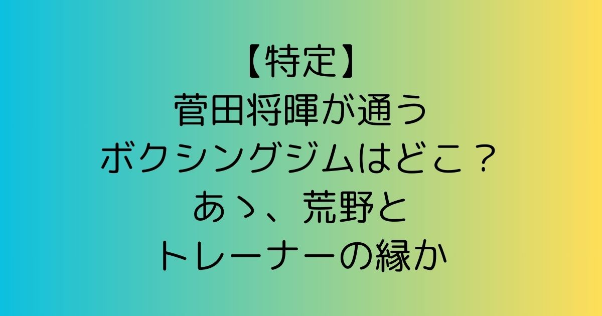 【特定】菅田将暉が通うボクシングジムはどこ？あゝ、荒野とトレーナーの縁か