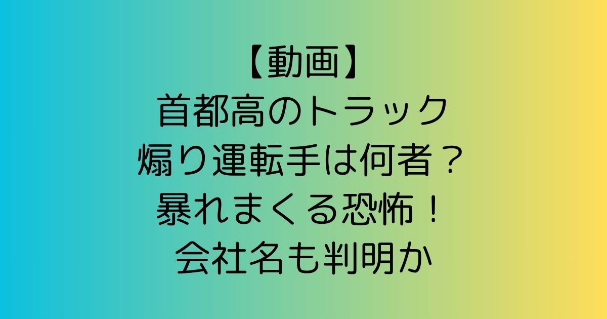 【動画】首都高のトラック煽り運転手は何者？暴れまくる恐怖！会社名も判明か