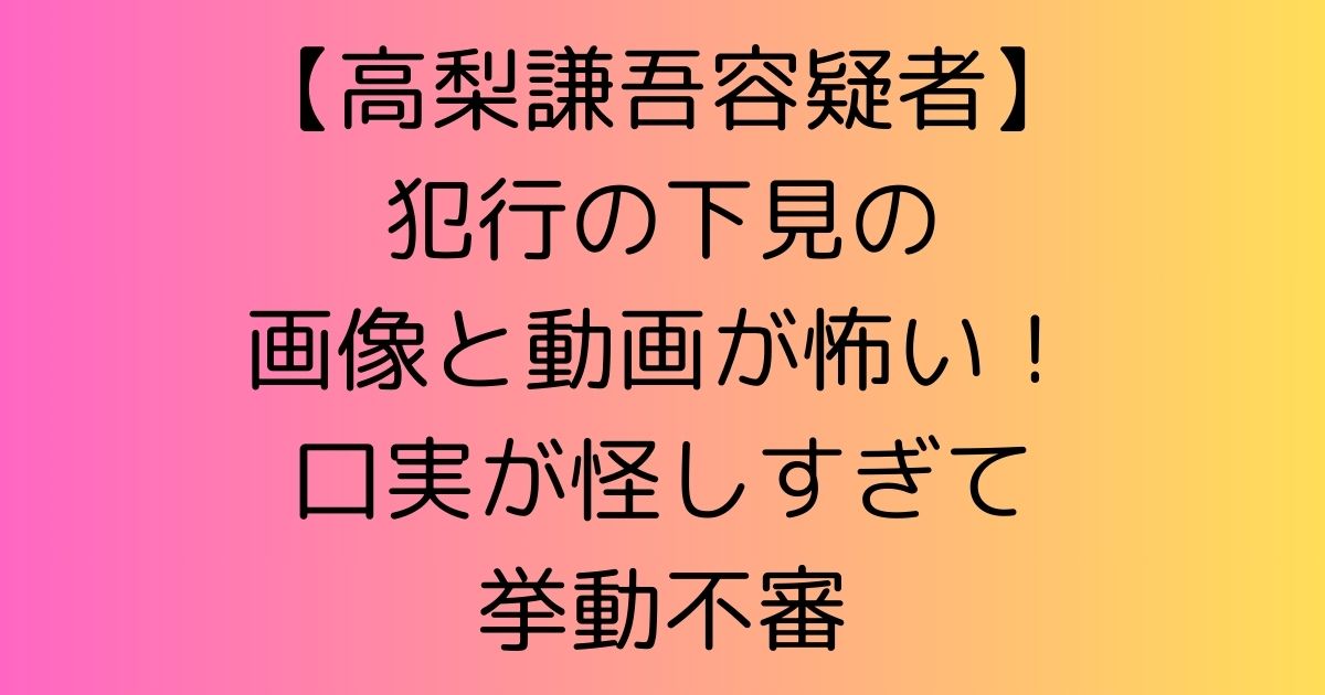 【高梨謙吾容疑者】犯行の下見の画像と動画が怖い！口実が怪しすぎて挙動不審